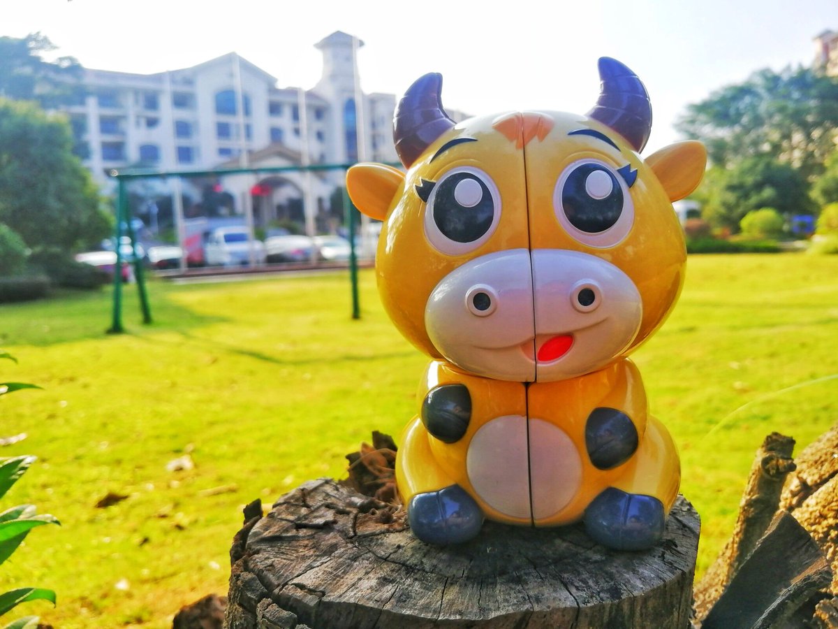 YUXIN_9960's tweet photo. If you have a Yuxin cow cube,would you take it to travel ?
#yuxincube #yuxin #yuxincube #speedcube #rubikcubes
#funwithcube #playwithcube #educationaltool #professionalcube https://t.co/Dr13Q4DrV0