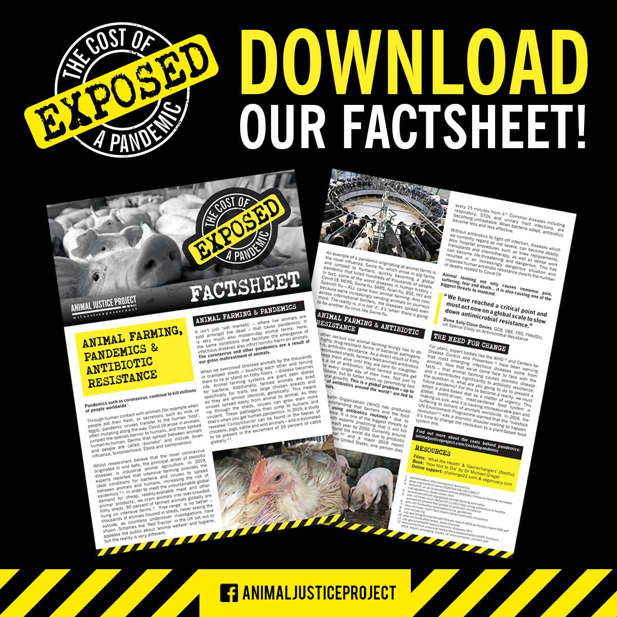 ajpReact's tweet photo. The risk of disease transmission from animals to human beings is common knowledge. However, we rarely reflect on the impact that our choices have on this risk.

Help us to raise awareness by sharing our Cost of a Pandemic fact sheet today:

https://t.co/kh3VmHr3cE

#Exopsed https://t.co/uUPwlRkZWe