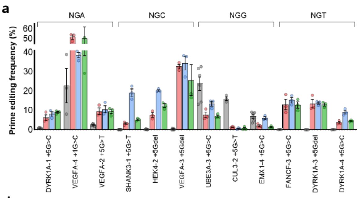 Addgene's tweet photo. New plasmids from Yongsub Kim's lab: engineered prime editors to expand their PAM flexibility #CRISPR #PrimeEditing #PrimeEditor  https://t.co/QdBkcBSLlc https://t.co/faD3vonYbs