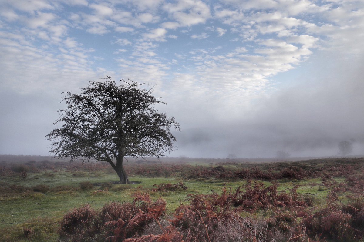 A moment of stillness to contemplate the day ahead. Thanks to Matthew H for sharing this moment of calm on the Long Mynd. Share yours with #EveryoneNeedsNature.