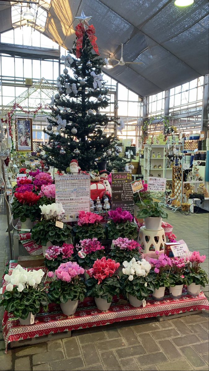 ForestGo5's tweet photo. 豊田市のお店で陳列応援 https://t.co/vN0K7tbB6b