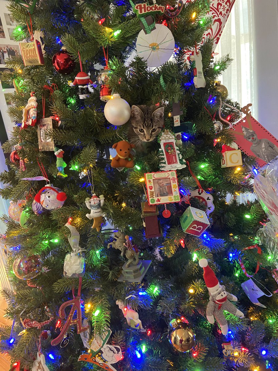 Justin Matson tweet media