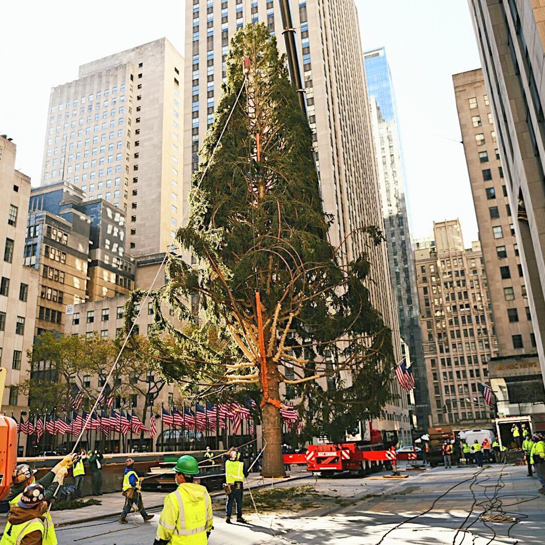 30RockTree's tweet photo. It’s been a rough year. Our world was turned upside down.

You may feel like how I arrived here two weeks ago. 

I feel you.

But remember one thing: If *I* can do this, so can YOU.

Now go make it happen.

#RockCenterXMAS https://t.co/h8DDuBsmRb