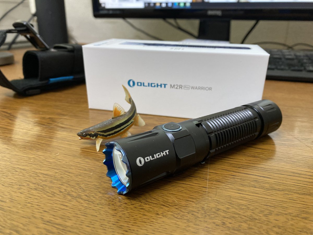 numa_0221's tweet photo. OLIGHT M2Rpro着弾
Amazonセールで安くなってたので脊髄反射で購入
ストラップが通し易いように、紐のとこに細い金具付いてた
この気遣い本当に中華か笑
#OLIGHT
#オーライト
#m2rpro https://t.co/ViwVb0Z753