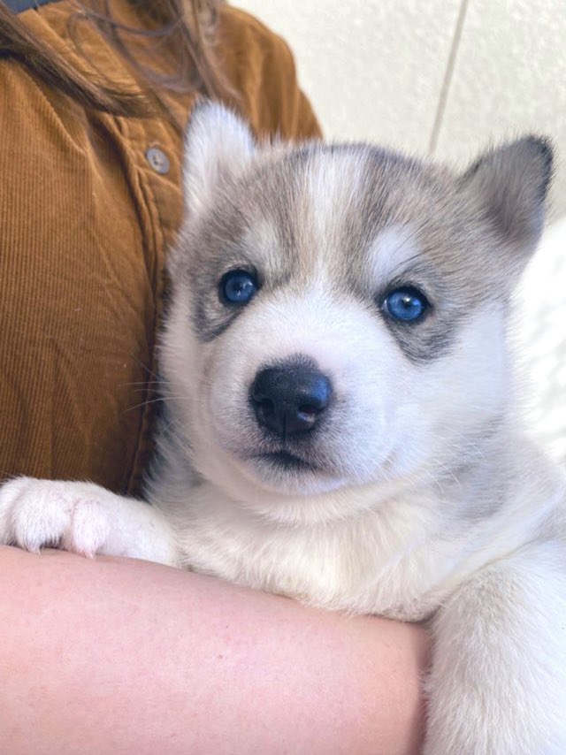 ️ロッカ ️ on Twitter 