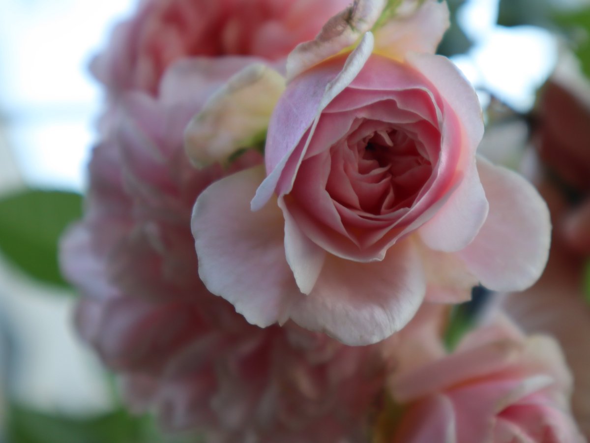 Jayne Jayneclaire4 Twitter