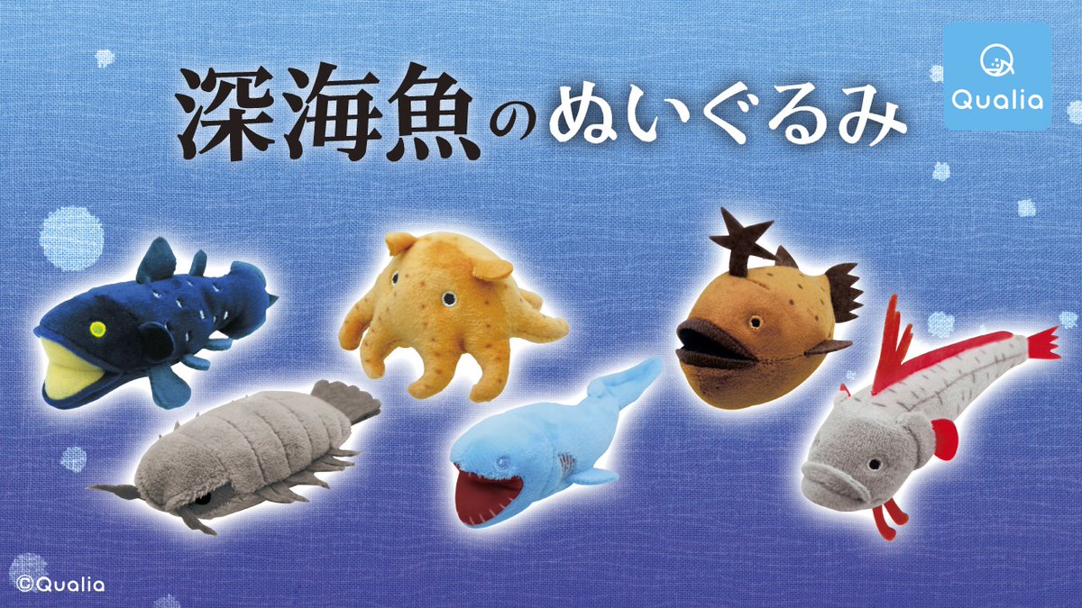 Qualia クオリア 公式 深海魚のぬいぐるみ 12 5 土 に発売決定 累計50万個を突破した ぬいぐるみシリーズの最新作 サメのぬいぐるみ から派生した新作で 過去イチでっかいぬいぐるみが 完成しちゃいました笑 カプセルパンパンにつまった 可愛い Qualia クオリア 公式 深海魚のぬいぐるみ 12 5 土 に発売決定 累計50万個を突破した ぬいぐるみシリーズの最新作 サメのぬいぐるみ から派生した新作で 過去イチでっかいぬいぐるみが 完成しちゃいました笑 カプセルパンパンにつまった 可愛い