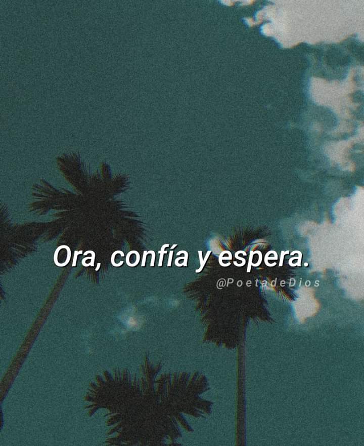 Confia 🙌📖 Amén