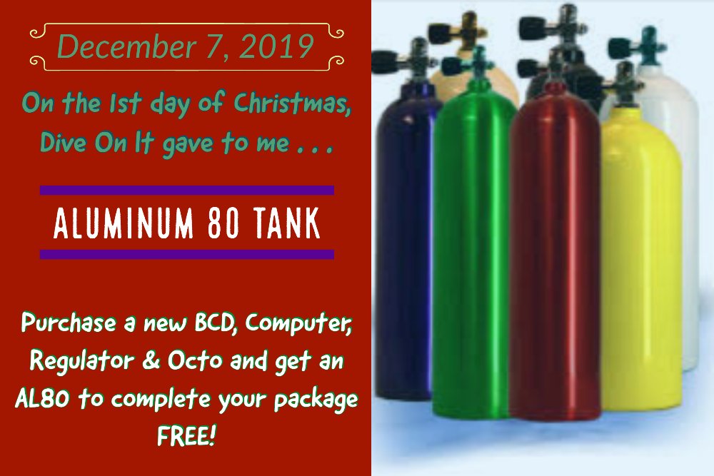 DiveOnIt's tweet photo. Dive Into our 12 Days of Christmas Specials! - https://t.co/EcgP0HQ51h https://t.co/0vsj3ljgSg