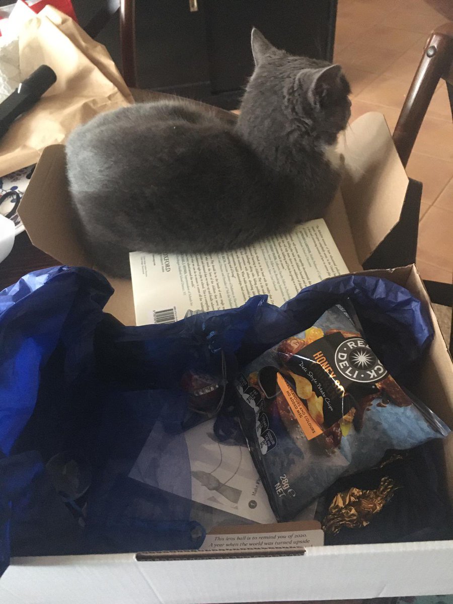 ticklemetyra's tweet photo. I love listening to the panel of experts (and the box of goodies, too!) #BPJConf2020 https://t.co/QmJvmD7ChK