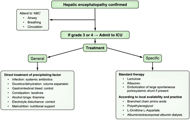 Encefalopatía hepática 💀🚨

1️⃣ SIEMPRE busque las presentaciones mínimas o encubiertas 😴

2️⃣ En alcohólicos debe tener presente la intoxicación etílica como diagnóstico diferencial 🍺

3️⃣ IMPORTANTE identificar la causa desencadenante 💊

🔽🔽🔽
DOI: 10.1016/j.jhep.2020.07.013