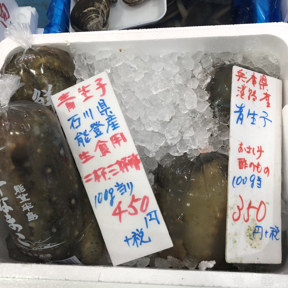 吉池 赤なまこ 青なまこ 入荷してます フジツボ マテ貝も