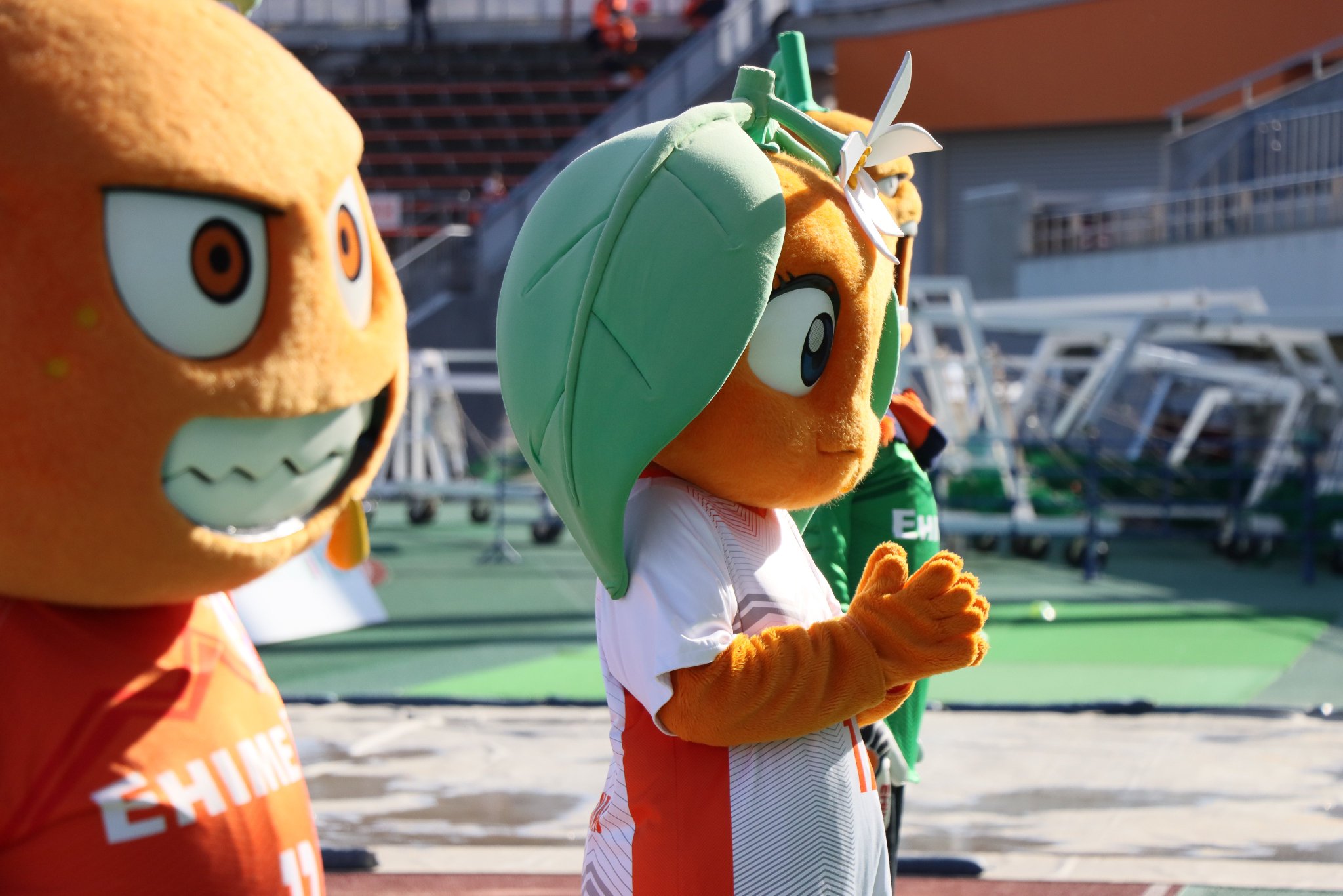 愛媛fc みかんの日 ときいて 愛媛fcマスコットの名前わかったかな Jリーグ Jリーグあいさつ Ehimefc T Co Ilz8hif0oa