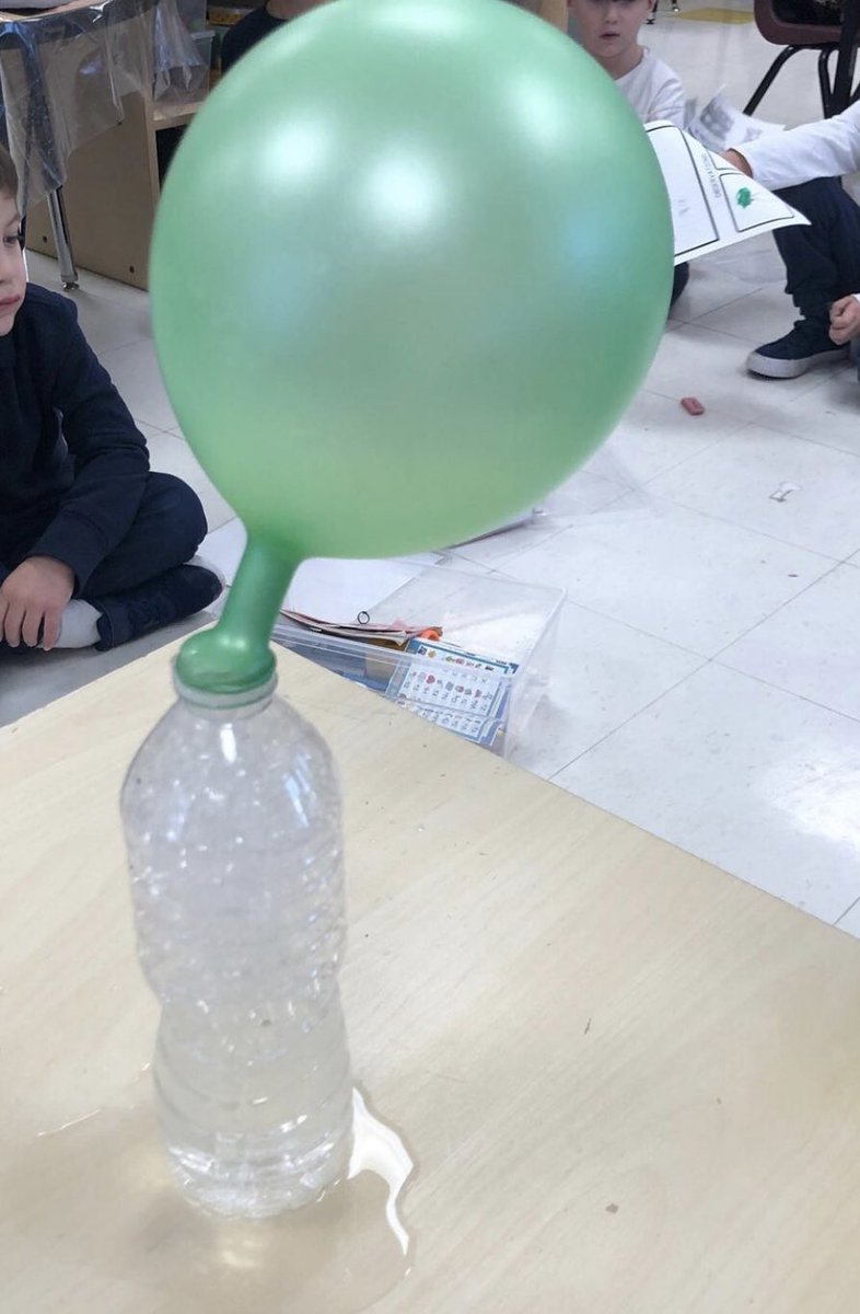 smy_nobleton's tweet photo. Mrs. McGillivray’s students conducted a science experiment called Balloon Fizz. Students made a prediction about what they thought would happen when they mixed vinegar and baking sofa. Check out the results! #kinderscientists #FDKfun @YCDSB @ElizabethCrowe_ https://t.co/rHsoH7I2Kc