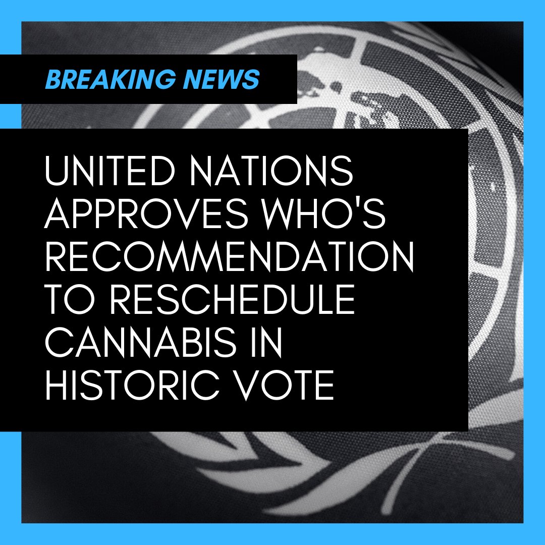 The future is here, as the notion that cannabis is a drug with a high potential for abuse and no therapeutic benefits has officially been stricken from the tenets of global drug policy. #UN #unitednations #WHO #cannabis #cannabisbusiness #globalcannabis #uncannabis