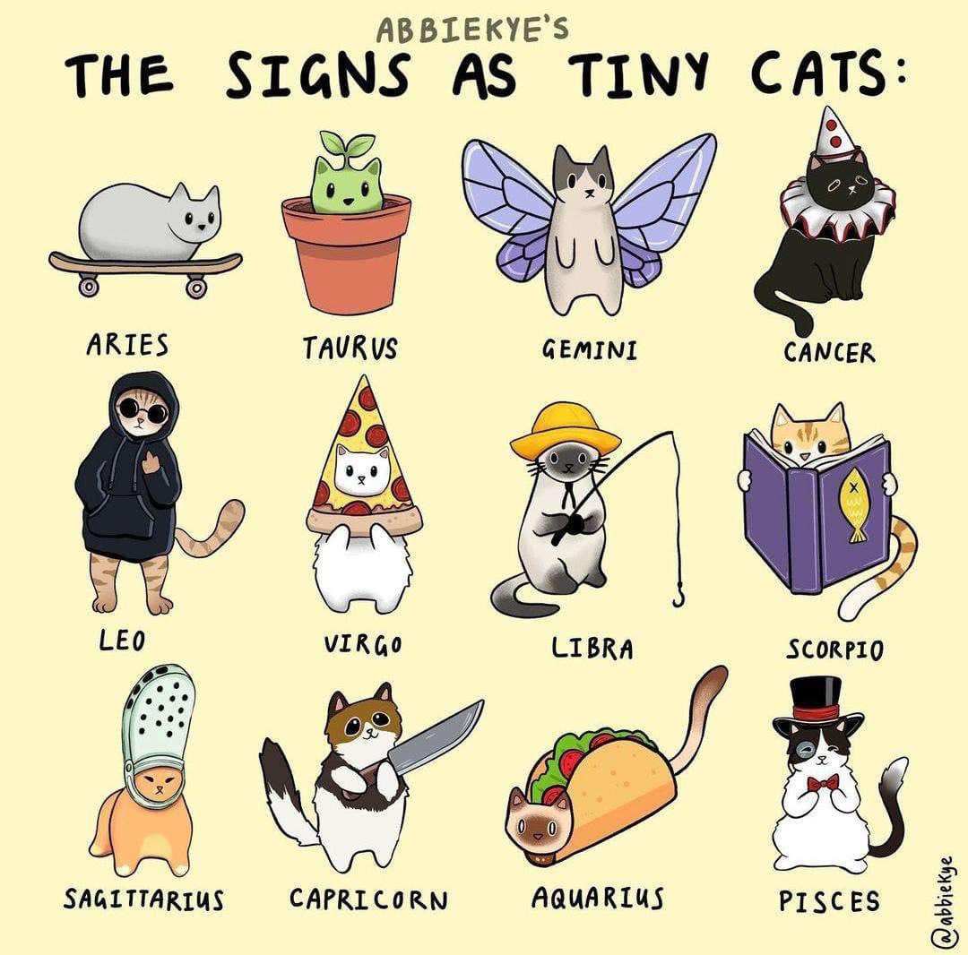 trippijaded's tweet photo. ♌︎ https://t.co/u227bf43OF