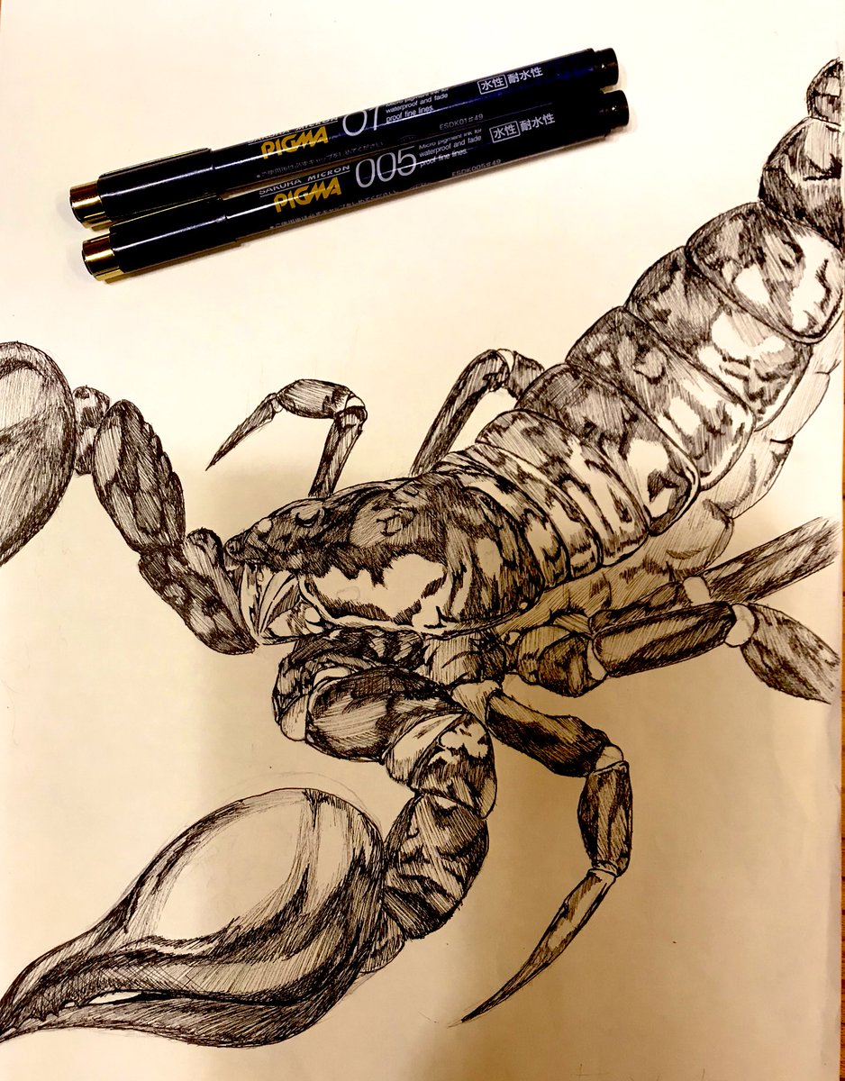 さそり Hashtag On Twitter