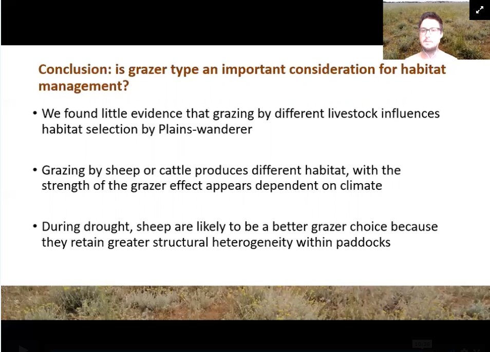 GibberGrl's tweet photo. Awesome work by @dnug on how different grazing management affects the elusive Plains-wanderer https://t.co/4GOThCPXLH