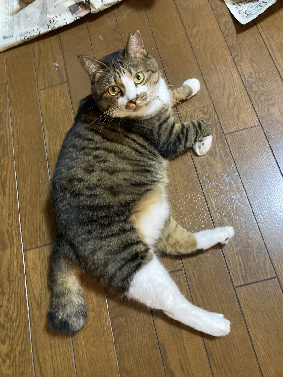 悲報 彼女が全然お風呂から戻ってこないので見に行った結果 スマブラ屋さん スマブラspまとめ攻略 悲報 彼女が全然お風呂から戻ってこないので見に行った結果 スマブラ屋さん スマブラspまとめ攻略