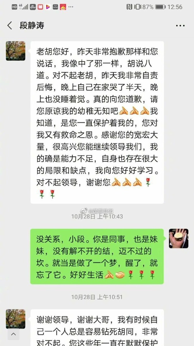 Jeffehu11's tweet photo. 来个新瓜，看来胡某人有望成为TG的戈培尔 https://t.co/Ba8Yzi4EAp