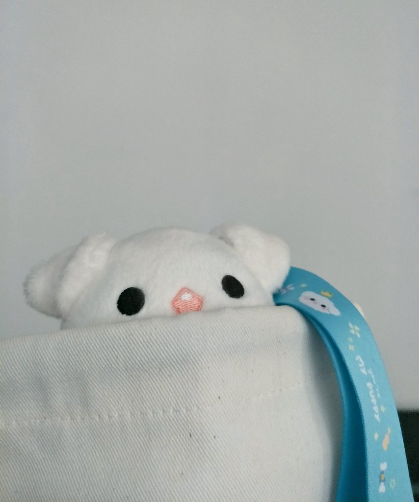 ต๊ะเอ๋ #HappydayWithPPJ ถึงบ้านแน้วคับ✨💕