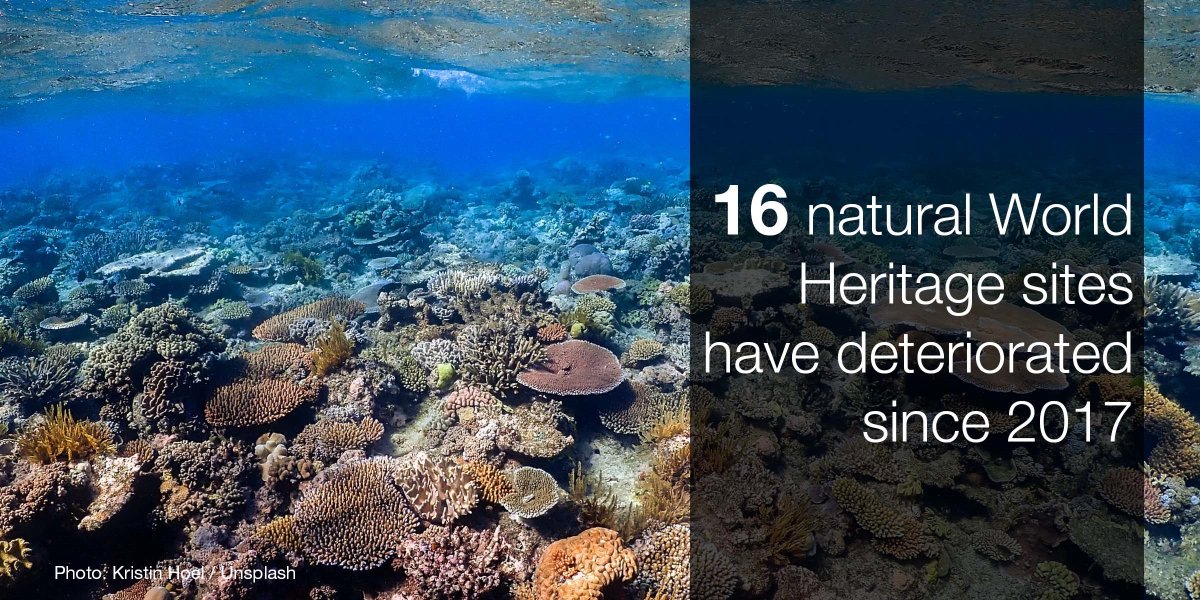 IUCN ESARO tweet media