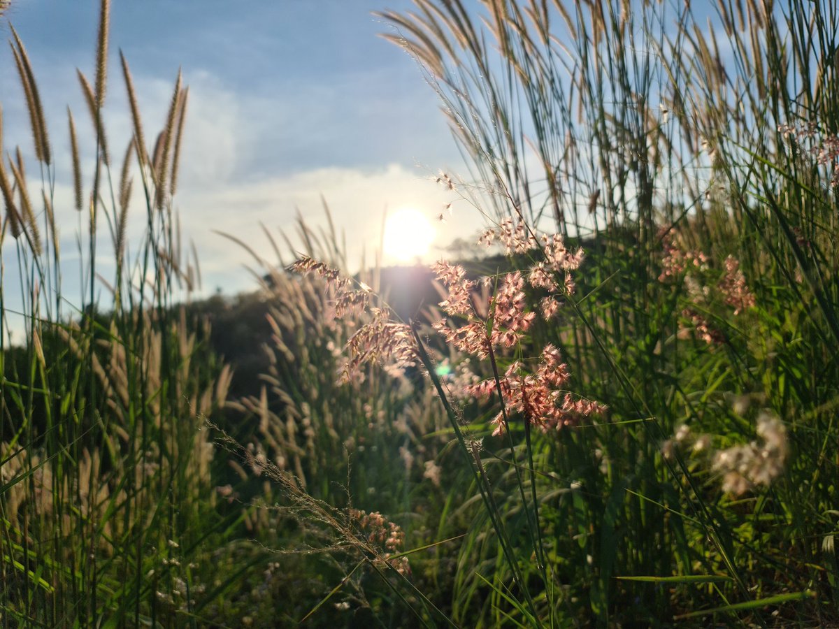 รูปที่ถ่ายด้วยความรู้สึกพิเศษ

จะผ่านไปกี่ปี ก็ยังเปิดดูเสมอ.

.........................................