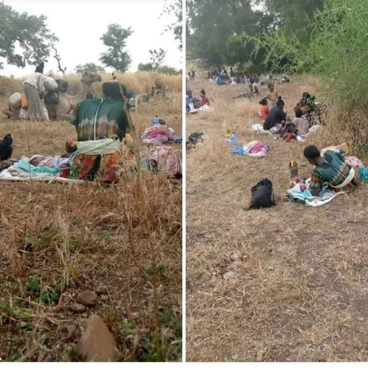 4. 𝐆𝐡𝐞𝐭𝐭𝐨𝐢𝐳𝐚𝐭𝐢𝐨𝐧: Jews were forcibly removed to segregated sections of Eastern European cities called ghettos. Families were forced to live in filthy crowded conditions. They had to give up their property.  Look at  #Tigrayans in Sudanese camps or elsewhere hiding