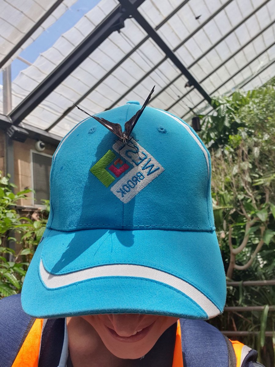 HowdenMaegan's tweet photo. The 1/2s had the BEST time @ The Melbourne Zoo! How lucky are we to be able to go on an excursion in 2020?! 😊 @stpeterssws @MelbourneZoo @MrMurraySPCPS @MrPlatekSPCPS https://t.co/pXaj33Ozap