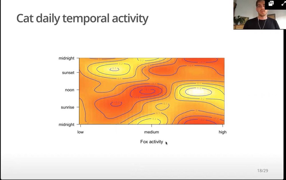 eyre_teresa's tweet photo. Evidence that foxes suppress feral cats! Fab study by @matt_w_rees on feral cat densities in temperate forests of Victoria. Cats hunt during the day to avoid foxes out at night. What great information for management #ESAus20 https://t.co/Xnu1XOc2oj
