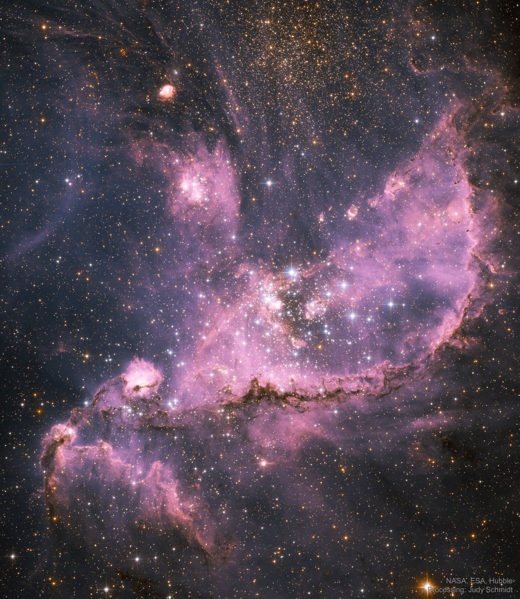SURPRISE we’re back to Hubble images. NGC 346, a star forming cluster in the Small Magellanic Cloud. Image Credit: NASA, ESA, HubbleProcessing:  @SpaceGeck
