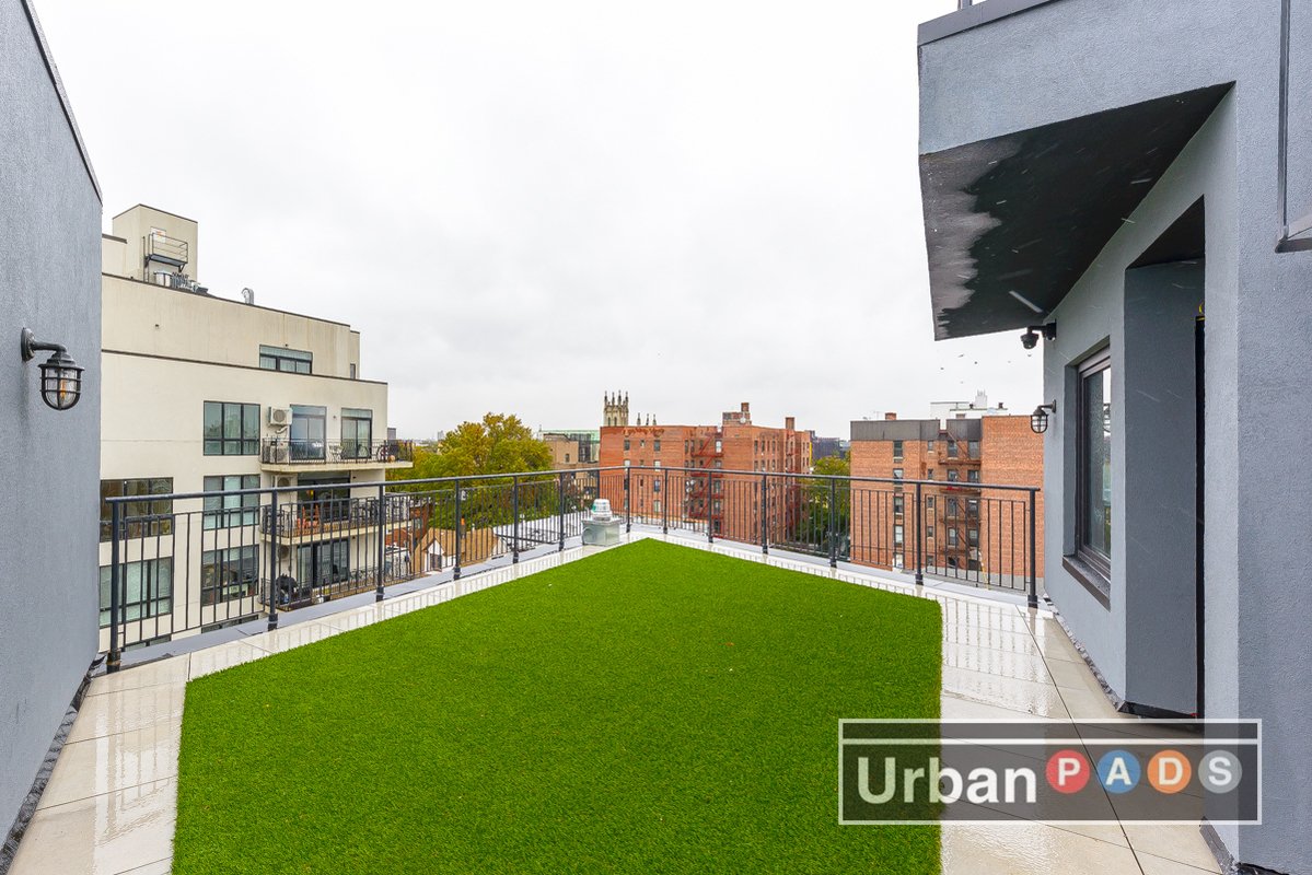 there is a small roof deck with astroturf on it, for reasons that remain unclear to me