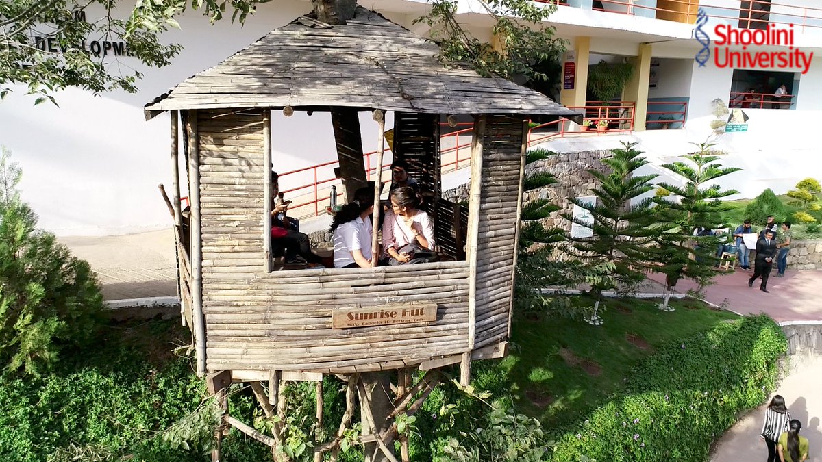 ShooliniUniv's tweet photo. #ShooliniLife #ShooliniUniversity
Does the world seem different from the vantage point of the #treehouse on the Shoolini campus? What do you think? Do share with us…
#ShooliniCampus #RadioShoolini #ShooliniTV #Education #University #HimachalPradesh https://t.co/sXxo2luy0J