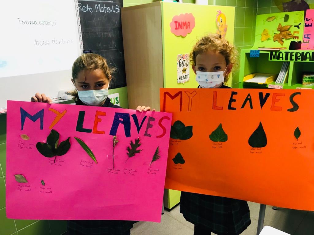 colegioarenales's tweet image. My leaves! 
#colegiobilingue #englishproject #bilingualeducation #arroyomolinos #masplurales #iamarenales #stopleycelaá #alumnosfelices #10años #educaresamar #redarenales #jueves