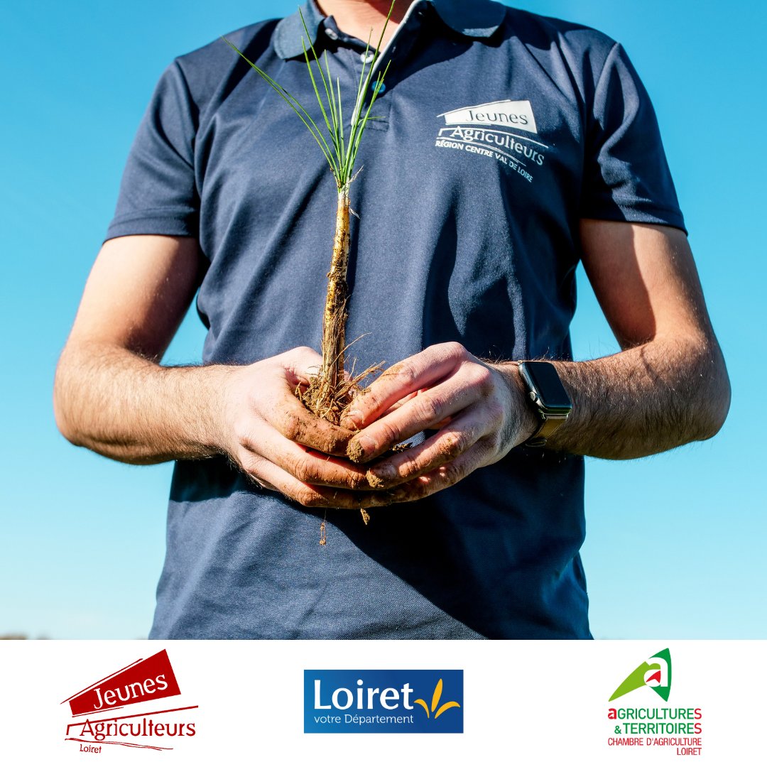 JALoiret's tweet photo. 🌸 Pendant les fêtes, mangeons #Loiret ! 🌸

De l'or rouge Made In Loiret ?

@MaximeBuizard vous propose des compositions gourmandes à base de Safran pour des fêtes colorées &amp; gourmandes ! 🎁

📌 Produits à découvrir  au @SafranTempliers à Egry

@leloiret | @JeunesAgri https://t.co/rsvDxXjhLv