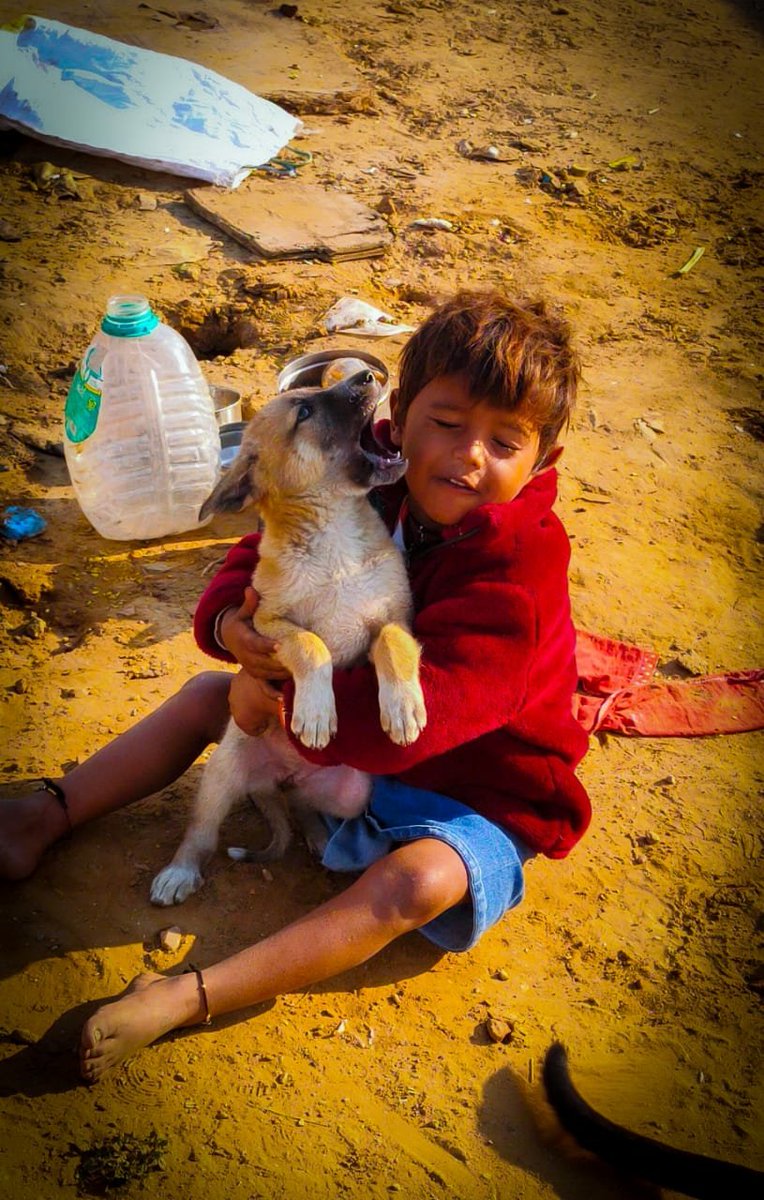 rha_india's tweet photo. Pawsomeness + cuteness = overloaded♥️

To be a Robin, register at the link given below:
https://t.co/Pg0x6hu7NL

#RHA #Jaipur #PawsUp #pawsitive #LoveWithoutBoundaries https://t.co/rwPUFyFa7b