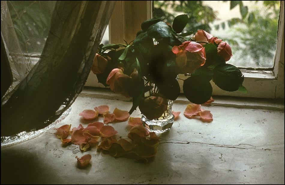 1979-ci il.Fotoqraf: Sənan Ələsgərov