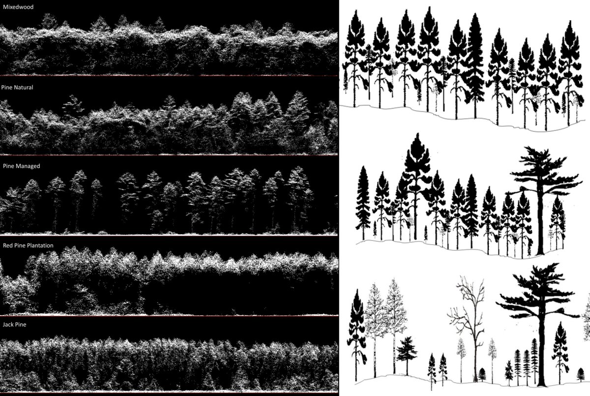 Joanne_C_White's tweet photo. In assessing single photon #lidar for terrain characterization in forests, we used 299 RTK survey points. We tested leaf-on and leaf-off SPL data acquired at different altitudes, and compared to discrete return #lidar. #CFSEFI #PRFSS #openaccess
Read: https://t.co/e9M6rKpNmF https://t.co/K4h6P7wYpG