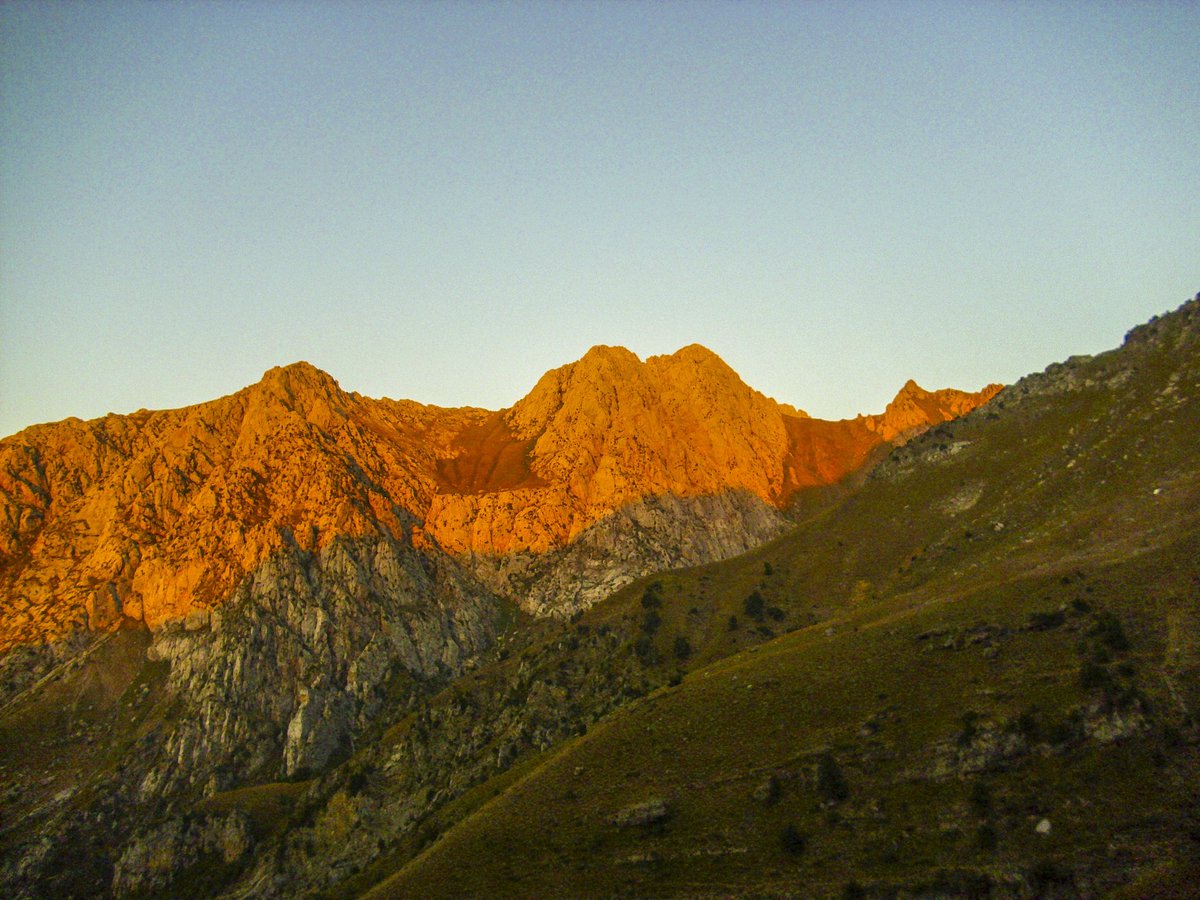 FNegova tweet picture