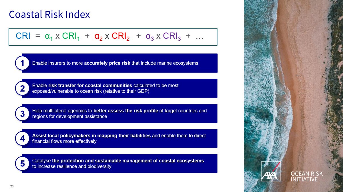 The Coastal Risk Index aims to price the risk to coastal ecosystems, with or without the protection of mangroves.
