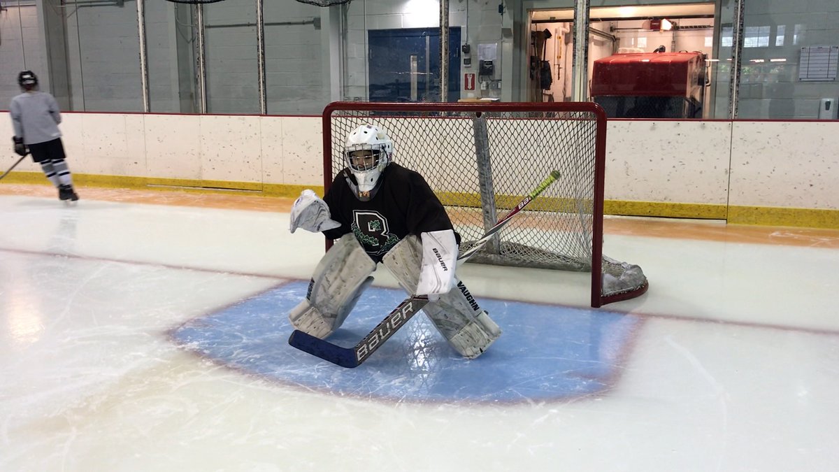 From Mara Yale: “Can I play goalie?” #IDPD2020 https://bit.ly/399iYzy&nbsp;