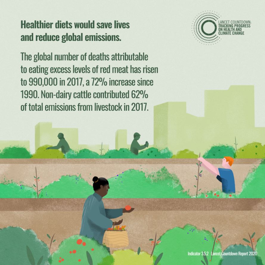 Responding to  #ClimateChange today will bring about cleaner skies, healthier diets, and safer places to live, as well as reduce the risk factors of future infectious diseases  http://hubs.li/H0BVztV0&nbsp;  #LancetClimate20
