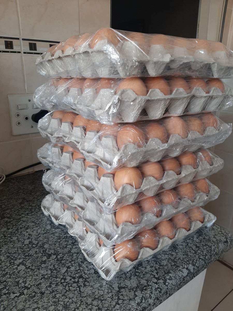 MondeKasi's tweet photo. Kasi Eggs Phihli Phohlo 

#hustleeveryday 
#KeDecemberBoss 
#DJSBU 
#djfresh https://t.co/qVP25IMAaw