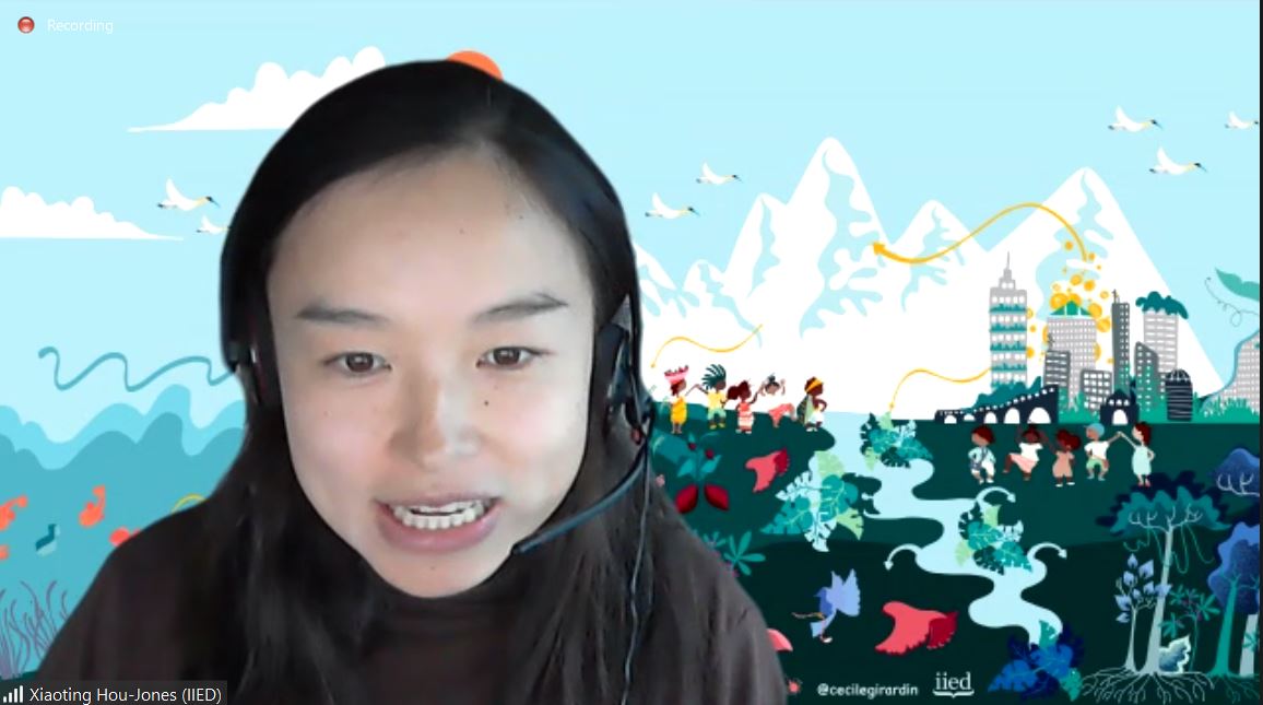 All the presenters in this  #DCdays20 session have shown that nature-based solutions help and benefit human society but the benefits to biodiversity and climate resilience are also clear, says IIED's Xiaoting Hou Jones.