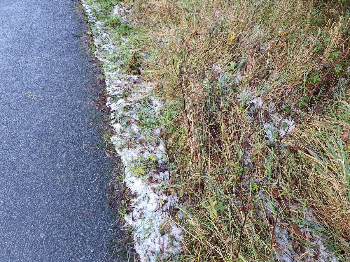 lyn_foley's tweet photo. Day 338 of #365daysofwalking #Sligo #Ireland #walkingthroughthecrisis #WalkingThroughLockdown2 #WildAtlanticWay https://t.co/7qNelxo0Mp