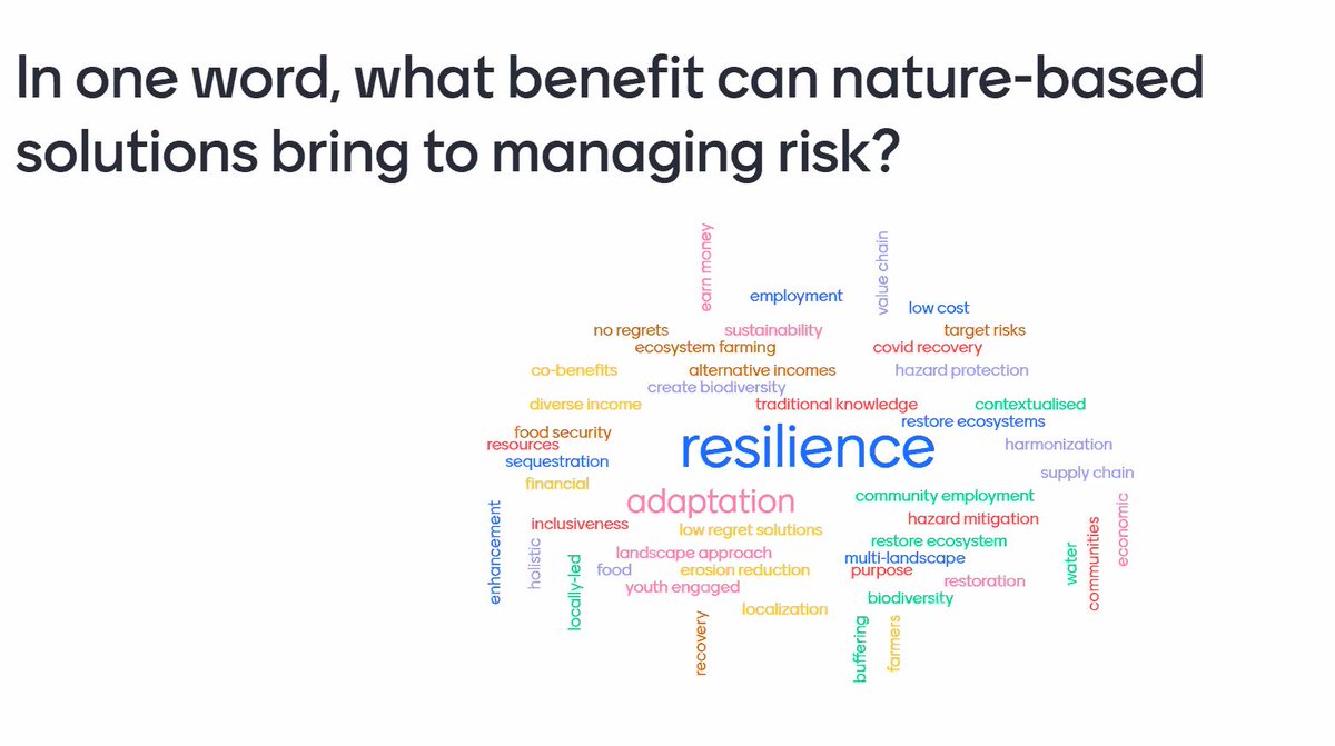 There are many benefits to nature-based solutions, and the multiple ways of working that facilitate NbS, but the biggest benefit is resilience.  #DCdays20