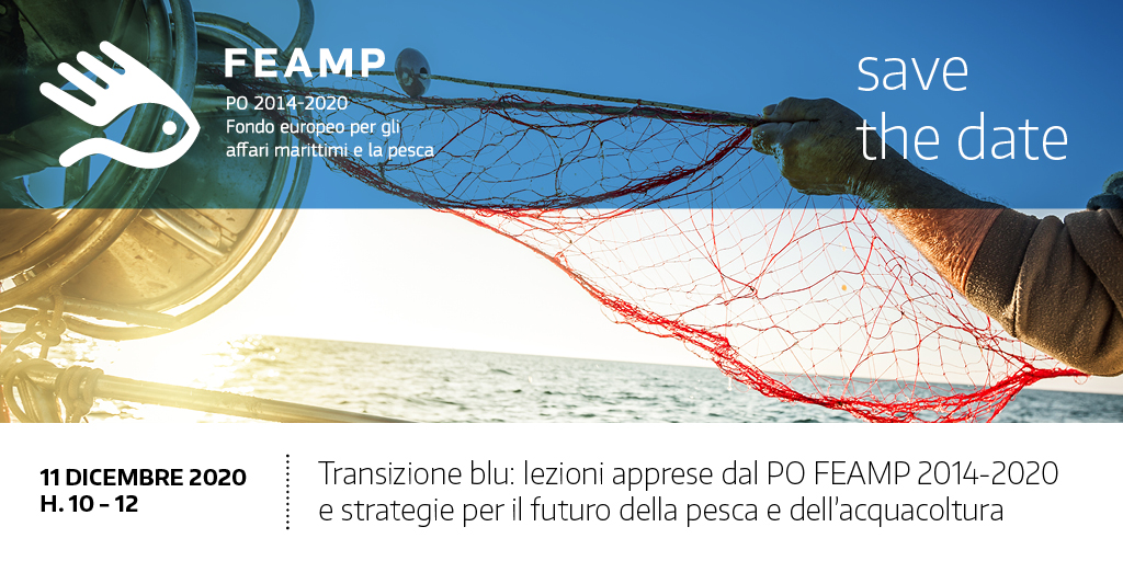Appuntamento il prossimo 11 dicembre alle ore 10.00 con "#TransizioneBlu: lezioni apprese dal PO FEAMP 2014-2020 e #strategie per il futuro della #pesca e dell'#acquacoltura". 

Che aspetti? Le iscrizioni sono aperte! convegni2020.eventifpa.it/it/event-detai… (diretta su facebook.com/pofeamp).