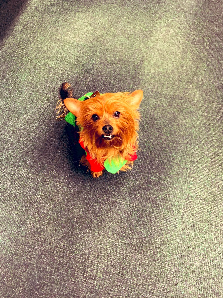 Houldsworth Mill tweet media