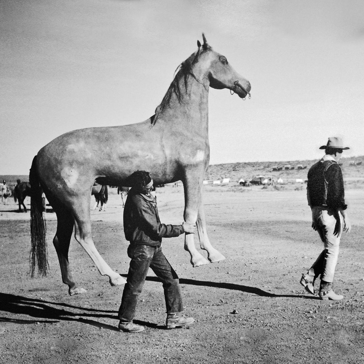 1959: John Wayne followed by his horse while filming The Alamo _ For more pictures like this, follow @retronauthome @retronauthq