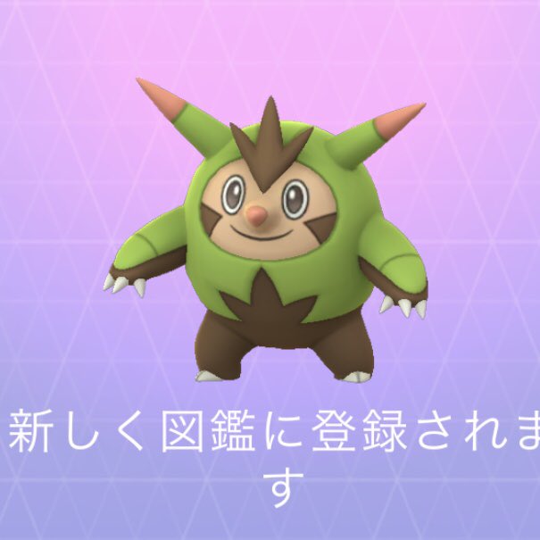 ヒノヤコマ ヒノヤコマ